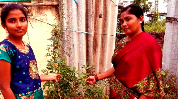 aglasterhousen bb0120